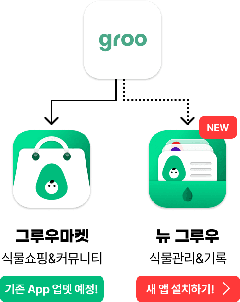 앱 리뉴얼 정보